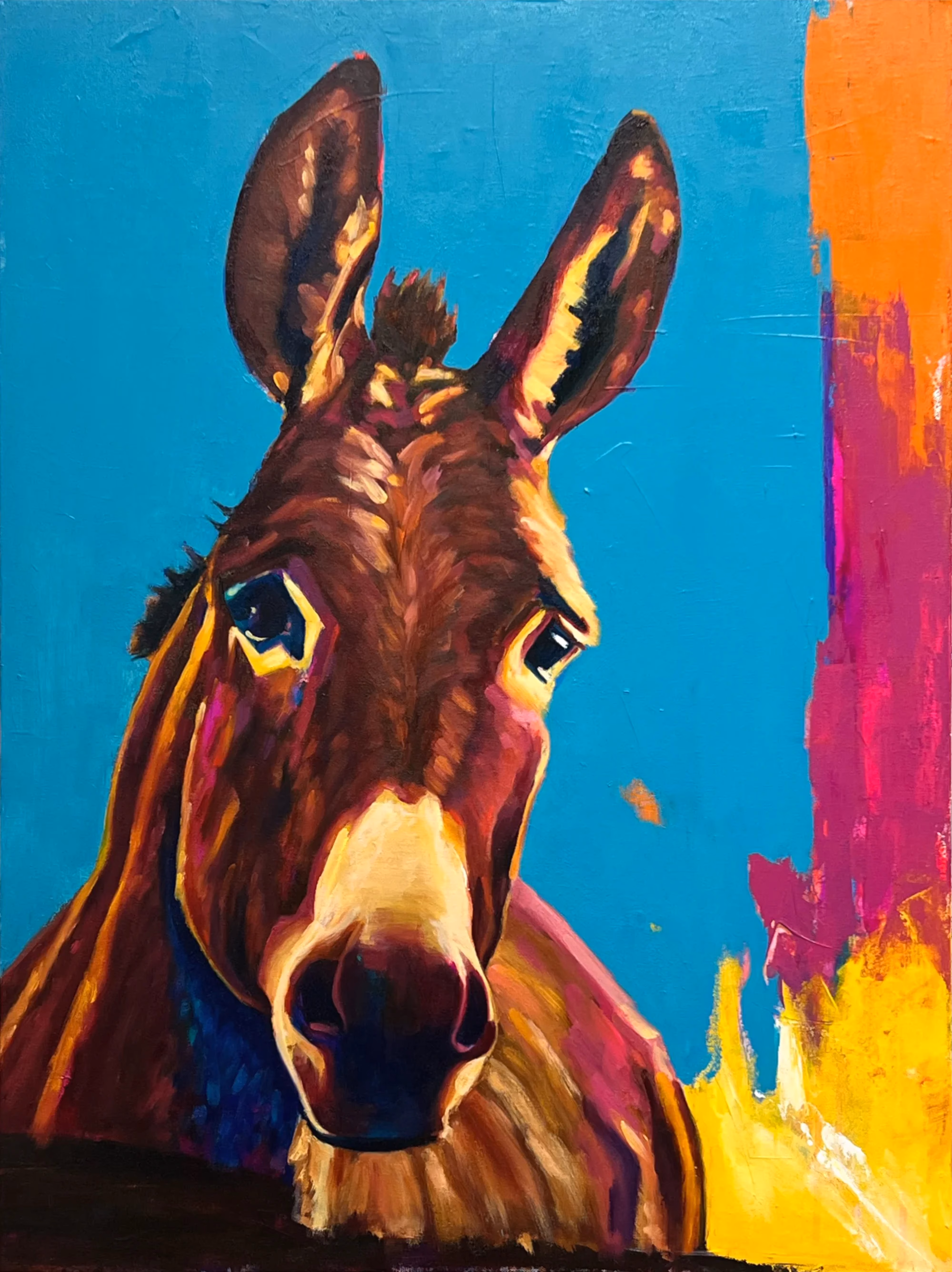 Donkey & Jote